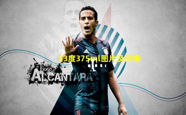 53度375ml图片及价格