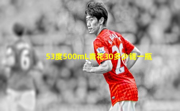 53度500mL青花30多少钱一瓶