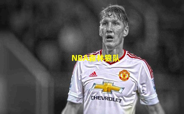 NBA森林狼队