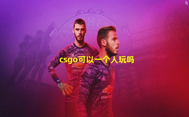 csgo可以一个人玩吗