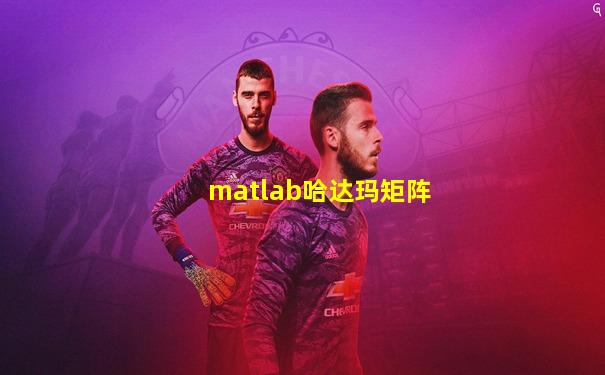 matlab哈达玛矩阵