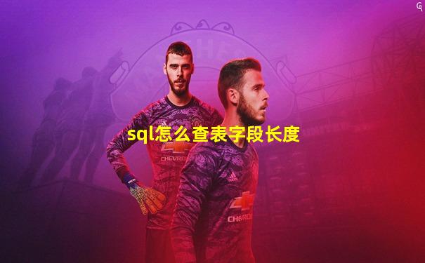 sql怎么查表字段长度