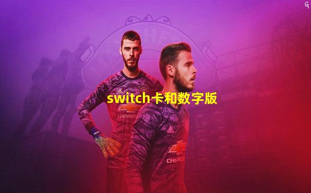 switch卡和数字版