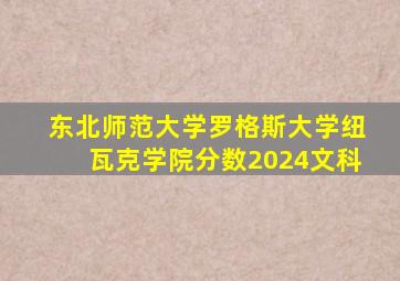 东北师范大学罗格斯大学纽瓦克学院分数2024文科