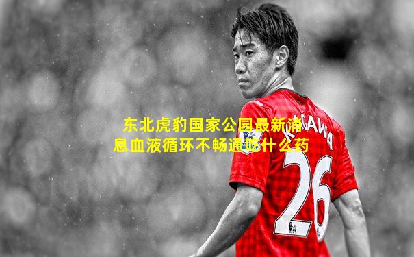 东北虎豹国家公园最新消息血液循环不畅通吃什么药