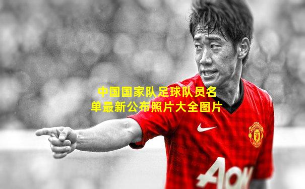 中国国家队足球队员名单最新公布照片大全图片