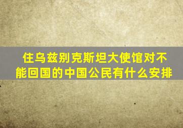 住乌兹别克斯坦大使馆对不能回国的中国公民有什么安排