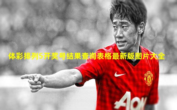 体彩排列5开奖号结果查询表格最新版图片大全