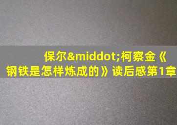 保尔·柯察金《钢铁是怎样炼成的》读后感第1章