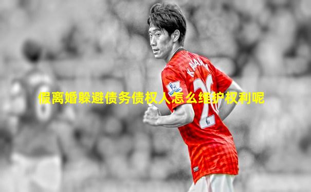 假离婚躲避债务债权人怎么维护权利呢
