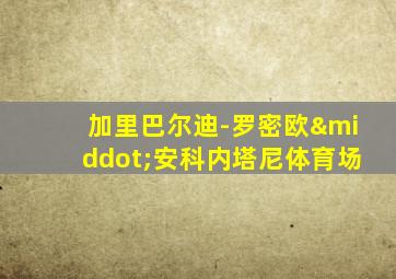 加里巴尔迪-罗密欧·安科内塔尼体育场