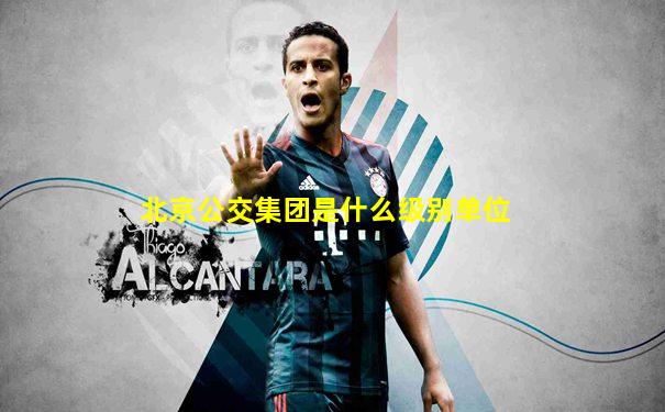 北京公交集团是什么级别单位