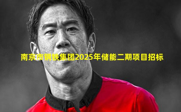 南京市钢铁集团2025年储能二期项目招标