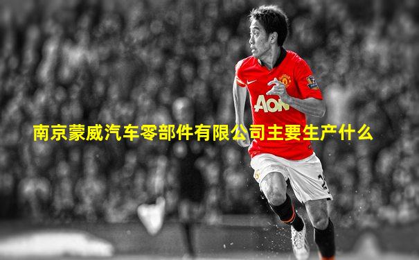南京蒙威汽车零部件有限公司主要生产什么