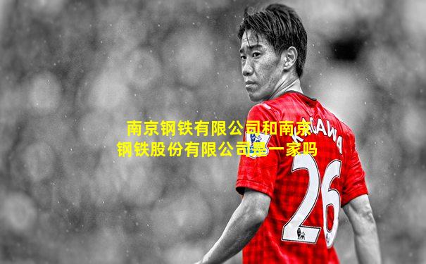 南京钢铁有限公司和南京钢铁股份有限公司是一家吗
