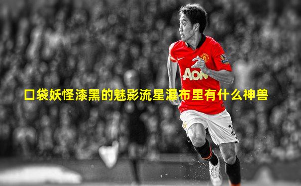 口袋妖怪漆黑的魅影流星瀑布里有什么神兽