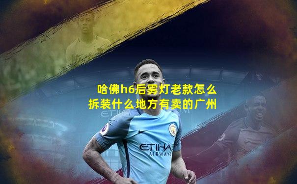 哈佛h6后雾灯老款怎么拆装什么地方有卖的广州
