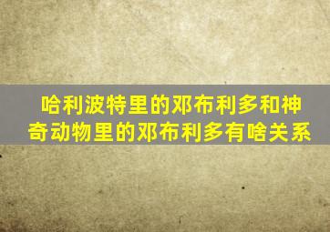 哈利波特里的邓布利多和神奇动物里的邓布利多有啥关系