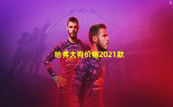 哈弗大狗价格2021款