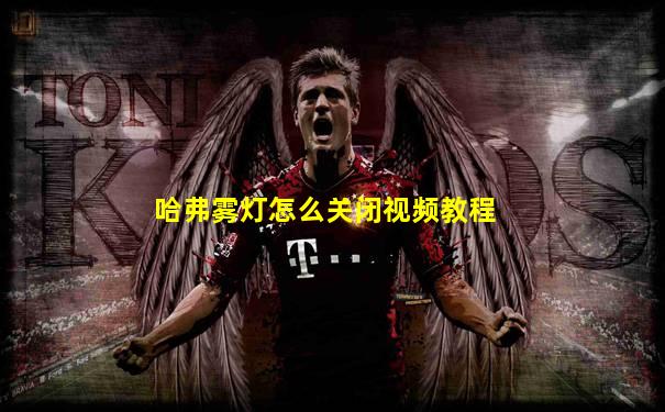 哈弗雾灯怎么关闭视频教程