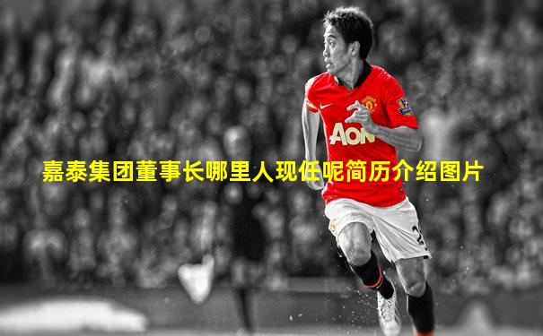 嘉泰集团董事长哪里人现任呢简历介绍图片