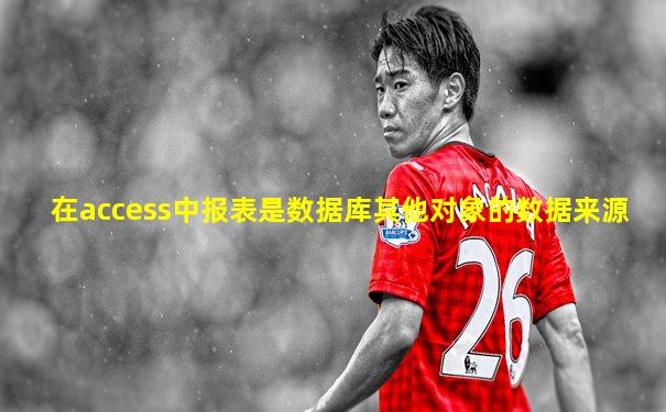 在access中报表是数据库其他对象的数据来源