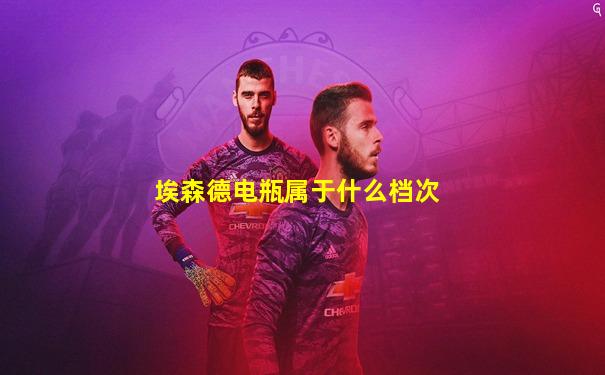 埃森德电瓶属于什么档次