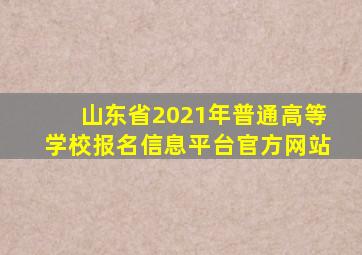山东省2021年普通高等学校报名信息平台官方网站