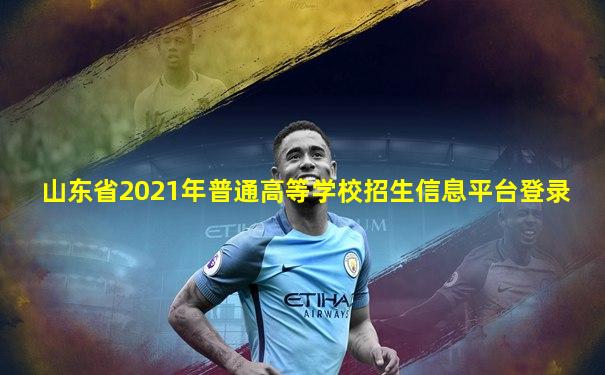 山东省2021年普通高等学校招生信息平台登录