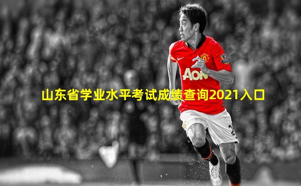 山东省学业水平考试成绩查询2021入口