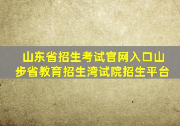 山东省招生考试官网入口山步省教育招生湾试院招生平台