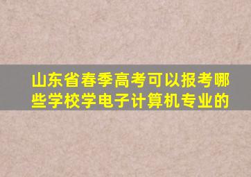 山东省春季高考可以报考哪些学校学电子计算机专业的