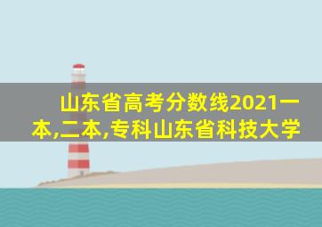 山东省高考分数线2021一本,二本,专科山东省科技大学