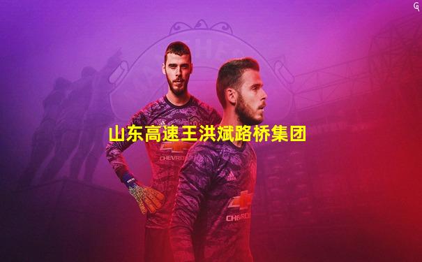 山东高速王洪斌路桥集团