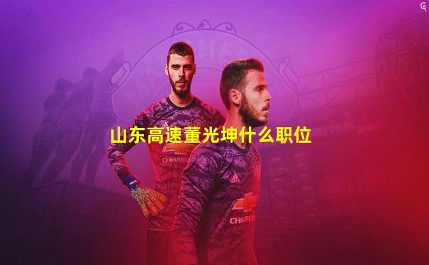 山东高速董光坤什么职位
