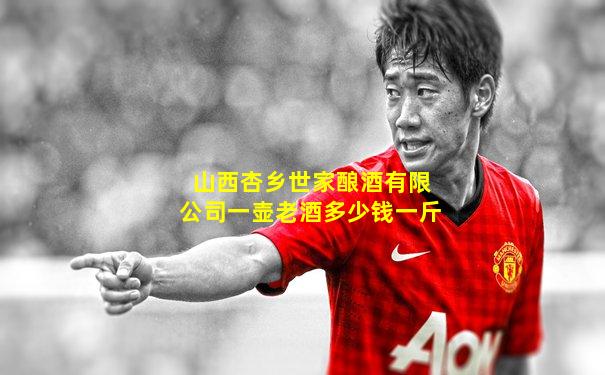 山西杏乡世家酿酒有限公司一壶老酒多少钱一斤