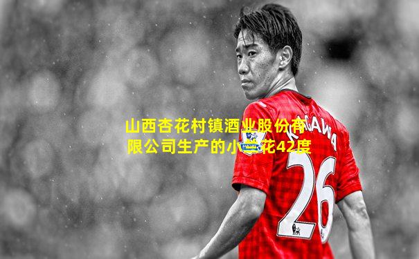 山西杏花村镇酒业股份有限公司生产的小兰花42度
