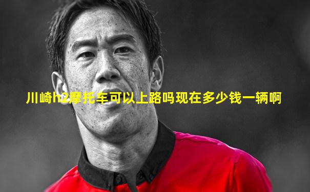 川崎h2摩托车可以上路吗现在多少钱一辆啊