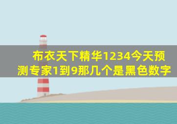 布衣天下精华1234今天预测专家1到9那几个是黑色数字