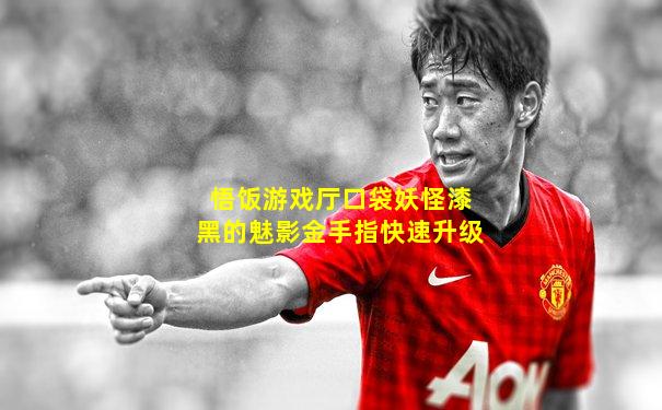悟饭游戏厅口袋妖怪漆黑的魅影金手指快速升级