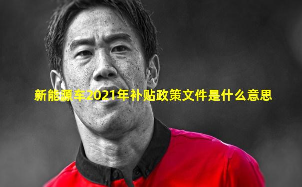 新能源车2021年补贴政策文件是什么意思