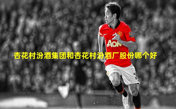 杏花村汾酒集团和杏花村汾酒厂股份哪个好