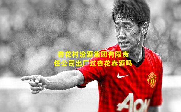 杏花村汾酒集团有限责任公司出厂过杏花春酒吗