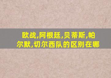 欧战,阿根廷,贝蒂斯,帕尔默,切尔西队的区别在哪