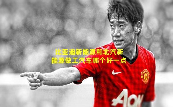 比亚迪新能源和北汽新能源做工汽车哪个好一点