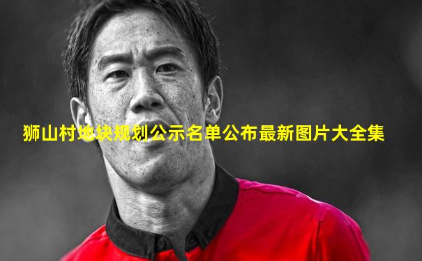 狮山村地块规划公示名单公布最新图片大全集