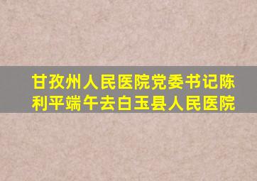 甘孜州人民医院党委书记陈利平端午去白玉县人民医院