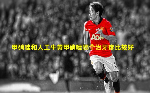 甲硝唑和人工牛黄甲硝唑哪个治牙疼比较好