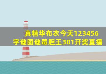 真精华布衣今天123456字谜图谜毒胆王301开奖直播