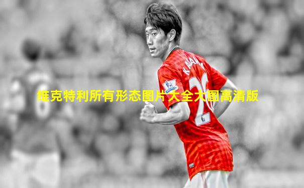 维克特利所有形态图片大全大图高清版